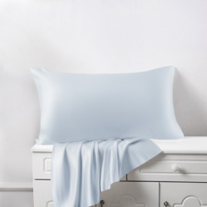 Best Alice Blue Silk Pillowcases Canada